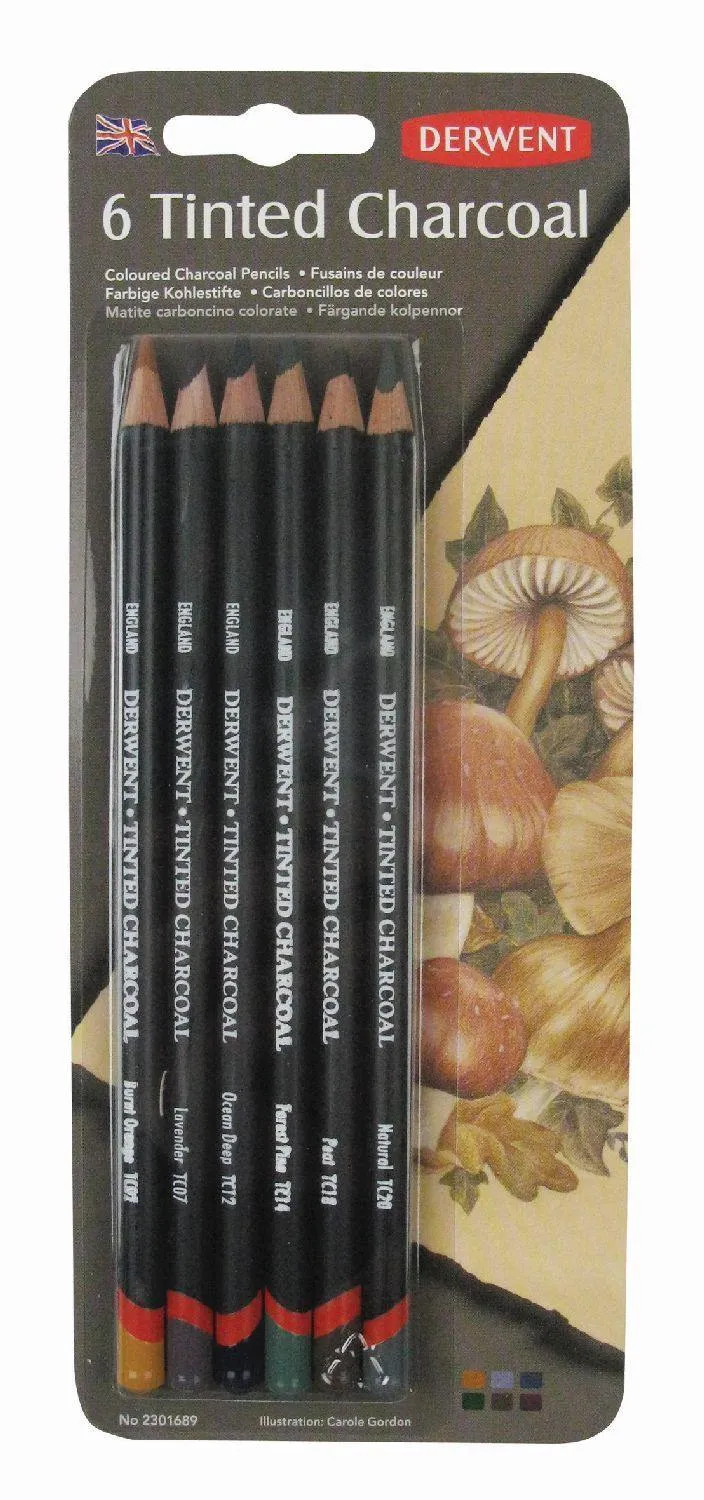 Derwent Professional Tinted Charcoal Pencil Sets