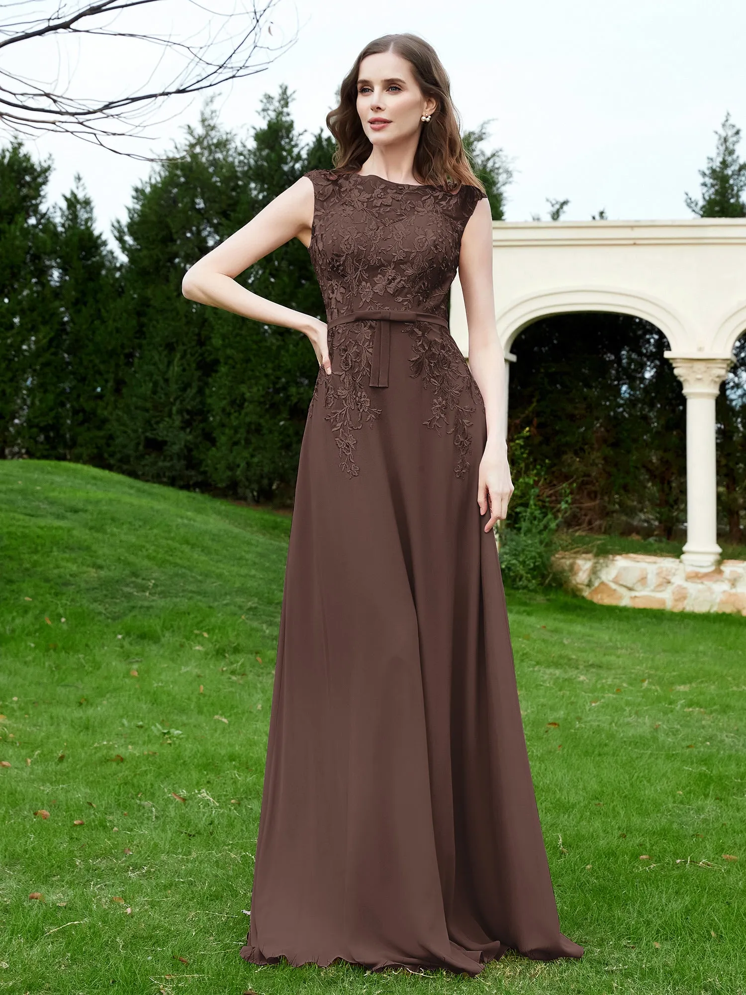 Elegant Illusion Lace Appliqued Dress With Buttons Chocolate